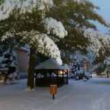 Zimné ráno na školskom dvore