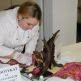 Danubius ba - IMG_2608