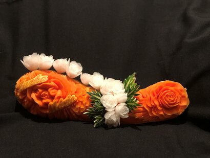 Výsledky krajského kola SOČ