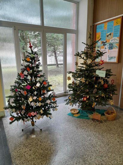 Súťaž o najkrajší vianočný stromček