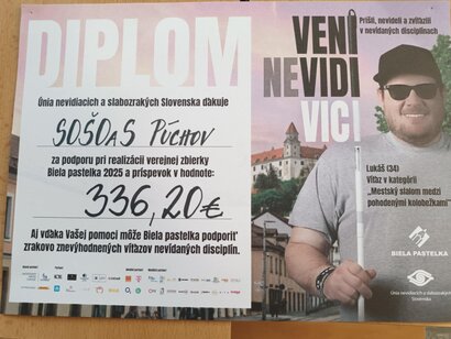 Verejná zbierka BIELA PASTELKA, 