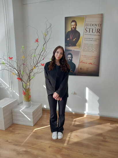 Regionálne kolo Hviezdoslavovho Kubína