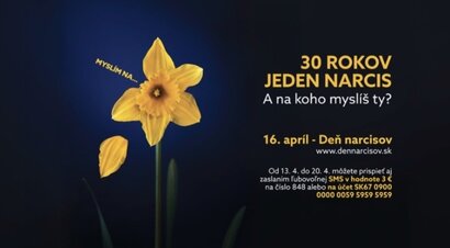 🌼Deň narcisov 2026 - 30 ročná tradícia🌼