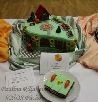 10. Paulína Riljaková SOŠOS Púchov