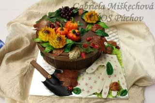 11.Gabriela Miškechová SOŠOS Púchov