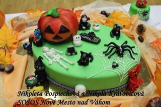 19. Nikoleta Pospiechaová,Nikola Kraľovičová SOŠOS Nové Mesto nad Váhom