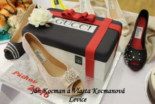 20. Ján Kocman,Vlasta Kocmanová Levice