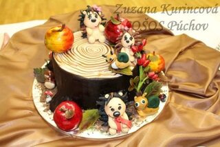 7. Zuzana Kurincová SOŠOS Púchov