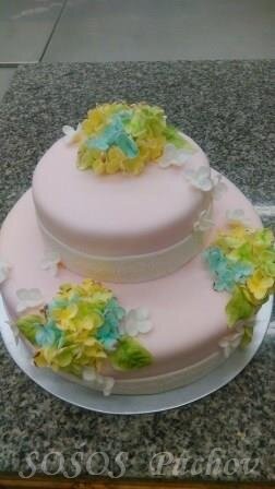 IMG_20150522_065611_8