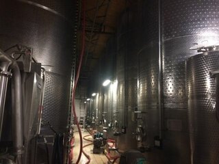 7_Exkurzia Topoľčianky