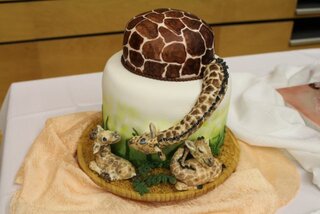 17_O najkrajšiu tortu Slovenska 2018