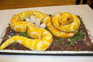 32_O najkrajšiu tortu Slovenska 2018