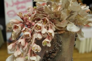 5_O najkrajšiu tortu Slovenska 2018