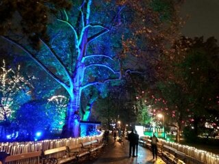 Exkurzia vo Viedni_19.11.2018_2