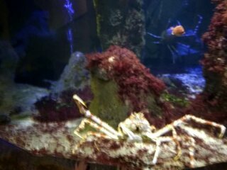 Exkurzia vo Viedni_19.11.2018_7