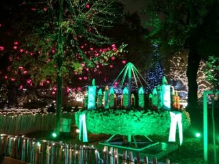 Exkurzia vo Viedni_19.11.2018_9