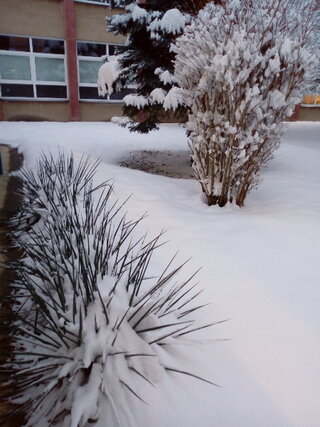 5_Zimné ráno na školskom dvore