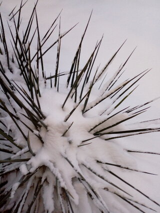 6_Zimné ráno na školskom dvore