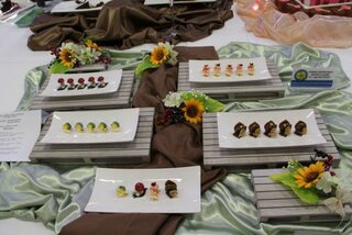 15_Poézia v gastronómii