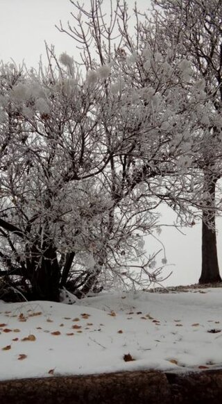 Na exkurzii v Budapešti