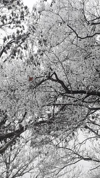 Na exkurzii v Budapešti