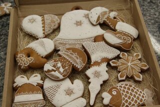 Skolenie_cukrarov_11