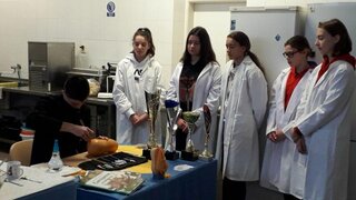 7_tvorivé dielne s ôsmakmi