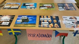 67_Európsky deň jazykov