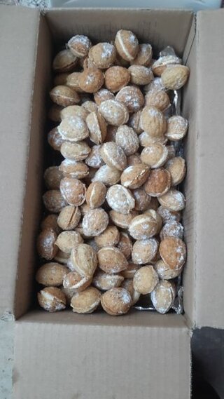 Moje vianočné pečivo17