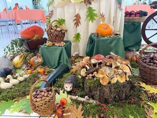 Jeseň v hoteli Študent_1