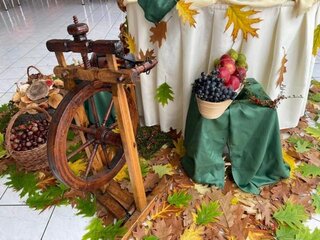 Jeseň v hoteli Študent_3