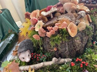 Jeseň v hoteli Študent_4