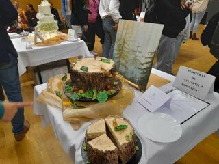 Zo súťaže Najkrajšia torta Slovenska11