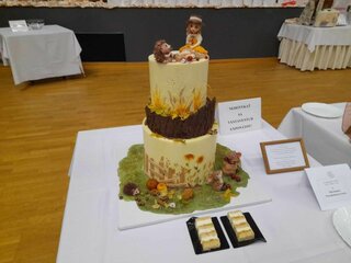 Zo súťaže Najkrajšia torta Slovenska19