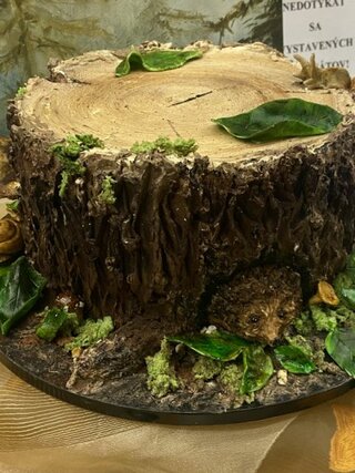 k-1,_3_miesto Prechádzka lesom