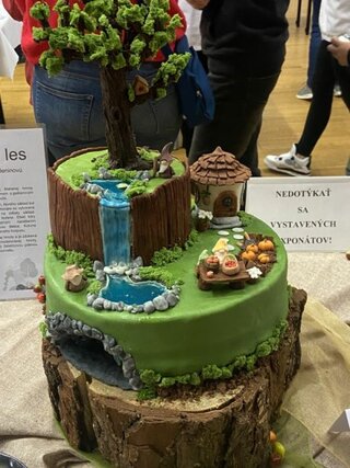 k-2,_3._miesto Čarovný les