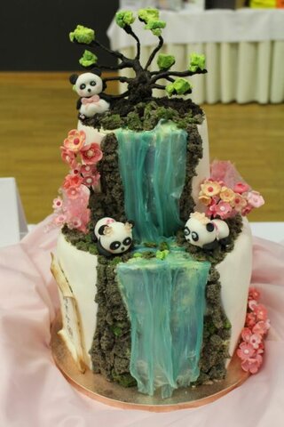 46_NAJKRAJŠIA TORTA SLOVENSKA_ 12. ročník