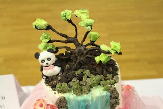 9_Naše cukrárky na Najkrajšej torte Slovenska