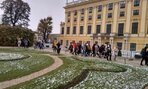 Exkurzia vo Viedni_19.11.2018_5
