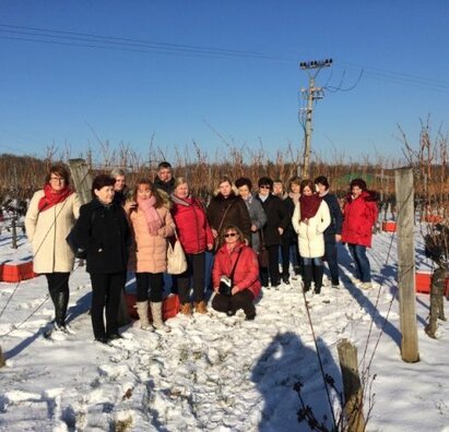 Exkurzia Topoľčianky