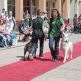 Imidž mladej generácie - 17Projekt Imidž mladej generácie