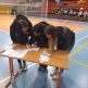 Kurz ochrany života a zdravia - 6_Kurz ochrany života a zdravia