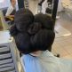 Školské kolo súťaže zručnosti v odbore kaderník - 7_ ročníková súťaž karnevalové účesy