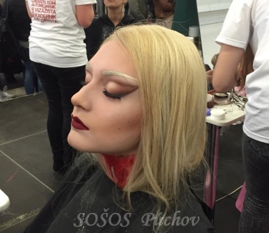 Súťaž a exkurzie v Trenčíne