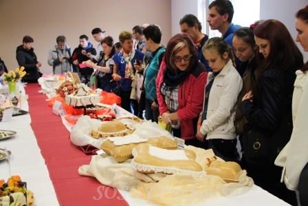 Jarná výstava vo  Vysokých Tatrách 